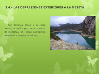 2.4.- LAS DEPRESIONES EXTERIORES A LA MESETA.

Son terrenos llanos y de poca
altitud, recorridos por ríos y rodeados
de montañas. En

estas depresiones

destacan los campos de cultivo.

 