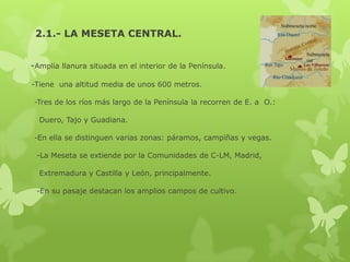 2.1.- LA MESETA CENTRAL.
-Amplia llanura situada en el interior de la Península.
-Tiene una altitud media de unos 600 metros.
-Tres de los ríos más largo de la Península la recorren de E. a O.:
Duero, Tajo y Guadiana.
-En ella se distinguen varias zonas: páramos, campiñas y vegas.
-La Meseta se extiende por la Comunidades de C-LM, Madrid,
Extremadura y Castilla y León, principalmente.
-En su pasaje destacan los amplios campos de cultivo.

 