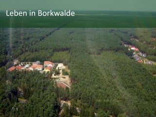 Leben in Borkwalde
 