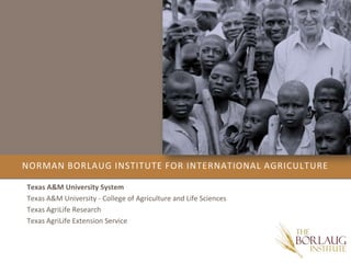 Norman Borlaug Institute for International Agriculture Texas A&M University System Texas A&M University - College of Agriculture and Life Sciences Texas AgriLife Research Texas AgriLife Extension Service 