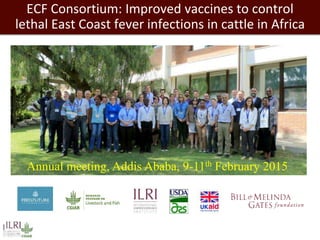 Towards successful, and sustainable, livestock futures worldwide