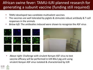 Towards successful, and sustainable, livestock futures worldwide