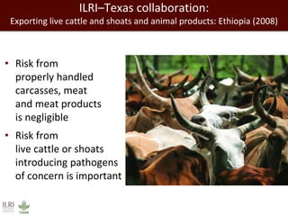 Towards successful, and sustainable, livestock futures worldwide