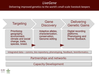 Towards successful, and sustainable, livestock futures worldwide