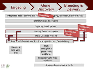 Towards successful, and sustainable, livestock futures worldwide