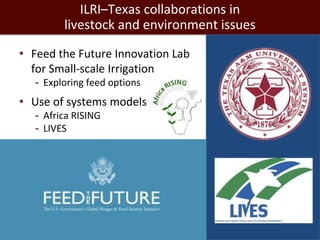 Towards successful, and sustainable, livestock futures worldwide