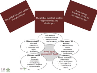 Towards successful, and sustainable, livestock futures worldwide