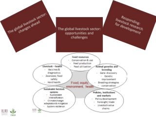 Towards successful, and sustainable, livestock futures worldwide