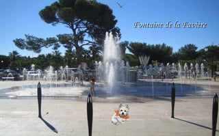 Fontaine de la Favière

 