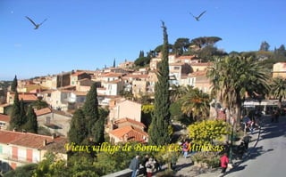 Vieux village de Bormes Les Mimosas

 