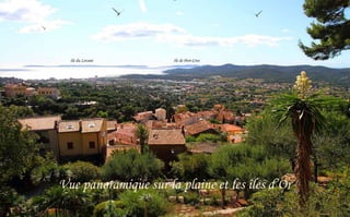 Ile du Levant

Ile de Port-Cros

Vue panoramique sur la plaine et les îles d’Or

 