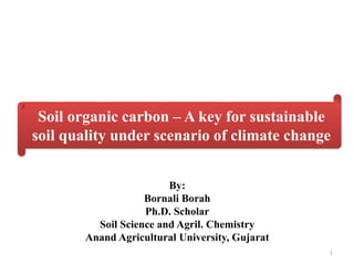 By:
Bornali Borah
Ph.D. Scholar
Soil Science and Agril. Chemistry
Anand Agricultural University, Gujarat
Soil organic carbon – A key for sustainable
soil quality under scenario of climate change
1
 