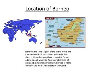 Location of Borneo
Borneo is the third largest island in the world and
is located north of Java Island, Indonesia. The
island is divided among three countries: Brunei,
Indonesia and Malaysia. Approximately 73% of
the island is Indonesian territory. Borneo is home
to one of the oldest rainforests in the world.
 