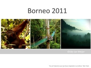 Borneo 2011




                                        ©Edo-Jan Meijer




     ‘You can’t depend on your eyes if your imagination is out of focus’ Marc Twain
 