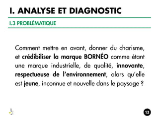 I. ANALYSE ET DIAGNOSTIC
I.3 PROBLÉMATIQUE

Comment mettre en avant, donner du charisme,
et crédibiliser la marque BORNÉO comme étant
une marque industrielle, de qualité, innovante,
respectueuse de l’environnement, alors qu’elle
est jeune, inconnue et nouvelle dans le paysage ?

 