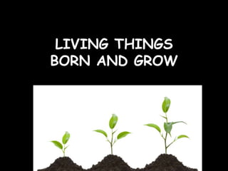 LIVING THINGS
BORN AND GROW
 