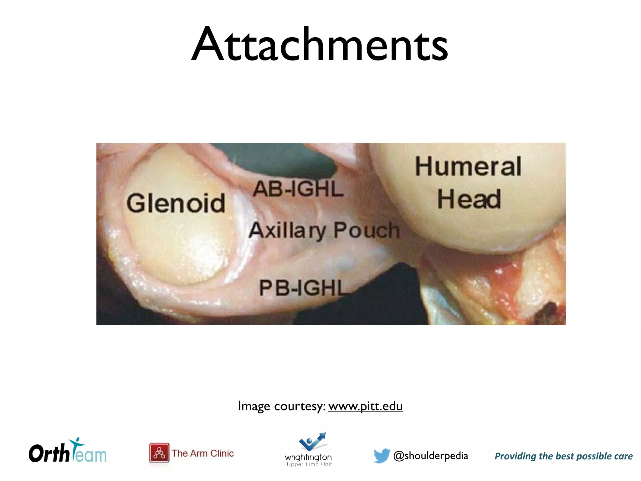 Providing)the)best)possible)care!@shoulderpedia
Attachments
Image courtesy: www.pitt.edu
 