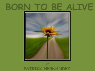 BORN TO BE ALIVE PATRICK HERNANDEZ BY 