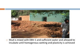    Mud is mixed with DBV-1 and sufficient water and allowed to
    incubate until homogenous wetting and plasticity is achieved
 