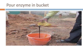Pour enzyme in bucket
 