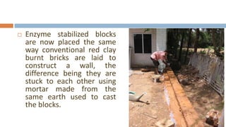    Enzyme stabilized blocks
    are now placed the same
    way conventional red clay
    burnt bricks are laid to
    construct a wall, the
    difference being they are
    stuck to each other using
    mortar made from the
    same earth used to cast
    the blocks.
 