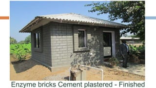 Enzyme bricks Cement plastered - Finished
 