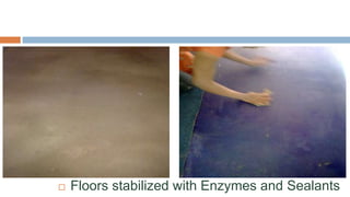    Floors stabilized with Enzymes and Sealants
 
