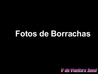 Fotos de Borrachas 