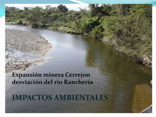 Expansión minera Cerrejon
desviación del río Ranchería

IMPACTOS AMBIENTALES
 