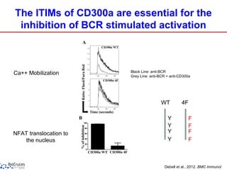 The CD300 molecules: an emerging family of regulators of the Immune ...