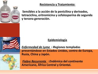 Resistencia y Tratamiento:
Sensibles a la acción de la penicilina y derivados,
tetraciclina, eritromicina y cefalosporina de segunda
y tercera generación.
Epidemiología
Enfermedad de Lyme : Regiones templadas
presentándose en Estados Unidos, centro de Europa,
Rusia, China y Japón.
Fiebre Recurrente : Endémica del continente
Americano, África Central y Oriental.
 