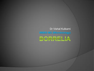 Dr Vishal Kulkarni
MBBS MD (Microbiology)
 