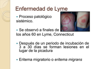 Enfermedad de Lyme
 Proceso patológico
sistémico.

 Se observó a finales de
los años 60 en Lyme, Connecticut

   Después de un periodo de incubación de
    3 a 30 días se forman lesiones en el
    lugar de la picadura

   Eritema migratorio o eritema migrans
 