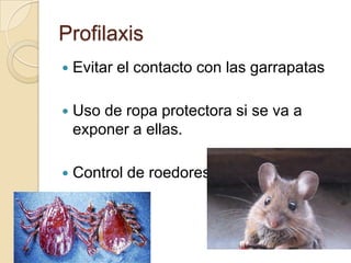 Profilaxis
   Evitar el contacto con las garrapatas

   Uso de ropa protectora si se va a
    exponer a ellas.

   Control de roedores
 