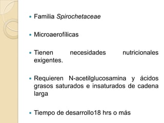    Familia Spirochetaceae

   Microaerofílicas

   Tienen       necesidades     nutricionales
    exigentes.

   Requieren N-acetilglucosamina y ácidos
    grasos saturados e insaturados de cadena
    larga


   Tiempo de desarrollo18 hrs o más
 