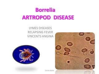 Borrelia
ARTROPOD DISEASE
  LYMES DISEASES
 RELAPSING FEVER
 VINCENTS ANGINA




           DEEPA BABIN   1
 