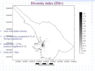 Diversity index (IDiv) Area with higher density (# of countries compared to % of foreign population) bandwidth = 177m (nearest neighbour k=2) Grid cell = 50m 