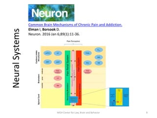 Common Brain Mechanisms of Chronic Pain and Addiction.
Elman I, Borsook D.
Neuron. 2016 Jan 6;89(1):11-36.
8MGH Center for Law, Brain and Behavior
NeuralSystems
 