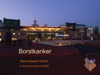 Borstkanker
           Mammateam UMCG
           in samenwerking met BVN


26-02-13                             1
 