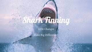 Shark Finning
Little Changes
Make Big Differences
 
