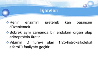 İşlevleri

Renin      enzimini    üreterek kan basıncını
 düzenlemek.
Böbrek aynı zamanda bir endokrin organ olup
 eritroprotein üretir.
Vitamin D türevi olan 1,25-hidroksikolekal
 siferol’ü faaliyete geçirir.
 