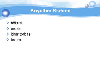 Boşaltım Sistemi

   böbrek
   üreter
   idrar torbası
   üretra
 