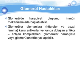 Glomerül Hastalıkları

Glomerülde      harabiyet     oluşumu,    immün
 mekanizmalarla başlatılabilir.
Glomerüler elemanlara (hücreler ve bazal
 lamina) karşı antikorlar ve kanda dolaşan antikor
 – antijen kompleksleri, glomerüler harabiyete
 veya glomerülonefrite yol açabilir.
 