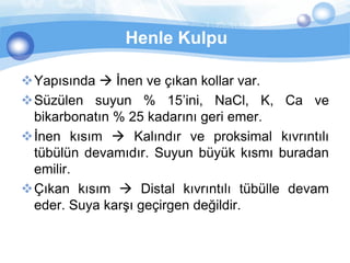 Henle Kulpu

Yapısında  İnen ve çıkan kollar var.
Süzülen suyun % 15’ini, NaCl, K, Ca ve
 bikarbonatın % 25 kadarını geri emer.
İnen kısım  Kalındır ve proksimal kıvrıntılı
 tübülün devamıdır. Suyun büyük kısmı buradan
 emilir.
Çıkan kısım  Distal kıvrıntılı tübülle devam
 eder. Suya karşı geçirgen değildir.
 