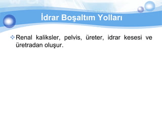 İdrar Boşaltım Yolları

Renal kaliksler, pelvis, üreter, idrar kesesi ve
 üretradan oluşur.
 