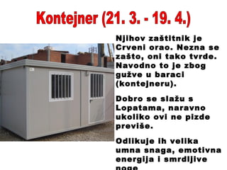 Kontejner (21. 3. - 19. 4.) Njihov zaštitnik je Crveni orao. Nezna se zašto, oni tako tvrde. Navodno to je zbog gužve u baraci (kontejneru). Dobro se slažu s Lopatama, naravno ukoliko ovi ne pizde previše. Odlikuje ih velika umna snaga, emotivna energija i smrdljive noge . 