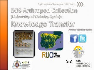 Digitisation of biological collections

 