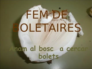 FEM DE
BOLETAIRES
Anam al bosc a cercar
        bolets
 
