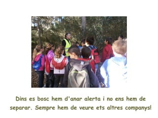 Dins es bosc hem d'anar alerta i no ens hem de
separar. Sempre hem de veure ets altres companys!
 