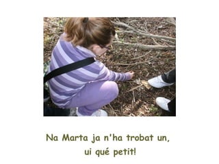 Na Marta ja n'ha trobat un,
        ui qué petit!
 
